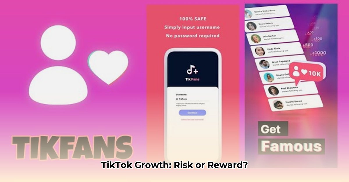 tikfans-apk
